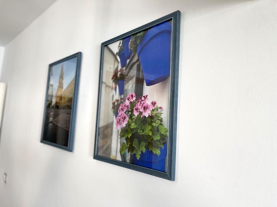 Appartement Centrico Urbano Con Terraza Cordoue